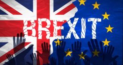 Brexit: Camera Lorzilor a adoptat un amendament destinat să protejeze drepturile cetățenilor UE care trăiesc în Marea Britanie Brexit: Camera Lorzilor a adoptat un amendament destinat să protejeze drepturile cetățenilor UE care trăiesc în Marea Britanie