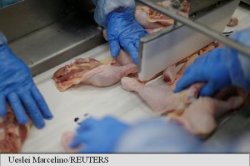 China, Chile și Egipt au început ridicarea restricțiilor la importurile de carne din Brazilia China, Chile și Egipt au început ridicarea restricțiilor la importurile de carne din Brazilia
