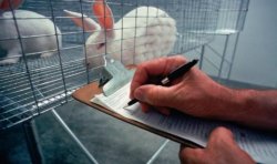 Ziua mondială a protecției animalelor de laborator Ziua mondială a protecției animalelor de laborator