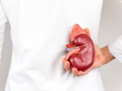 Dacă vrei să protejezi sănătatea rinichilor tăi, ține cont de aceste sfaturi Dacă vrei să protejezi sănătatea rinichilor tăi, ține cont de aceste sfaturi