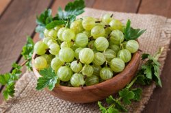 55 de beneficii ale consumului de agrişe 55 de beneficii ale consumului de agrişe