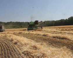 Agricultorii din raionul Șoldănești nu se grăbesc să-şi vândă roada Agricultorii din raionul Șoldănești nu se grăbesc să-şi vândă roada