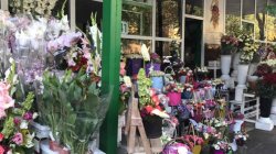 VIDEO: Comercianții de flori, verificați de FISC VIDEO: Comercianții de flori, verificați de FISC