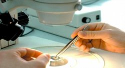 Vești bune: O boală care afectează tot mai multe persoane va putea fi diagnosticată mai ușor Vești bune: O boală care afectează tot mai multe persoane va putea fi diagnosticată mai ușor