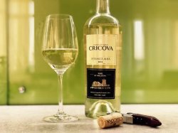 CRICOVA a înregistrat un profit net de aproape 16 milioane de lei CRICOVA a înregistrat un profit net de aproape 16 milioane de lei