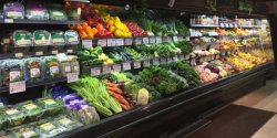Comerţul modern a ajuns să domine toate pieţele din regiune, doar cota lui variază. De la 56% în România, la 85% în Germania Comerţul modern a ajuns să domine toate pieţele din regiune, doar cota lui variază. De la 56% în România, la 85% în Germania