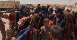 TRAGIC. Sute de civili părăsesc oraşul irakian Tal Afar, de teama escaladării luptelor TRAGIC. Sute de civili părăsesc oraşul irakian Tal Afar, de teama escaladării luptelor