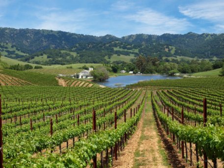 R. Moldova va deveni în 2018 „Capitală Mondială a Turismului Vinicol” R. Moldova va deveni în 2018 „Capitală Mondială a Turismului Vinicol”