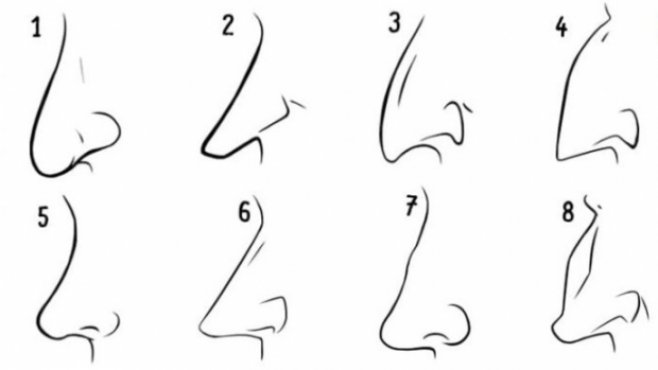 cum funcționează vederea și nasul unei persoane