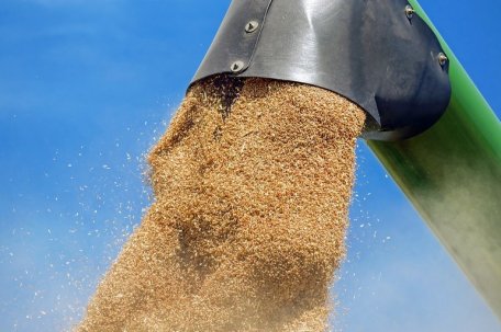 România are în acest an CEA MAI MARE producție de grâu din istorie / Al treilea exportator de grâu al UE România are în acest an CEA MAI MARE producție de grâu din istorie / Al treilea exportator de grâu al UE