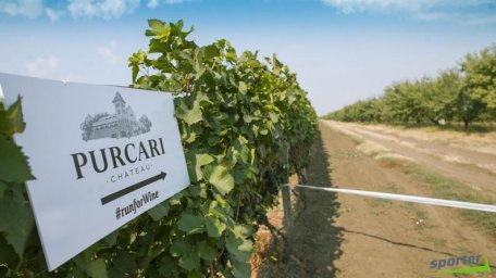 Purcari negociază preluarea unui dintre cei mai mari producători din vin din România Purcari negociază preluarea unui dintre cei mai mari producători din vin din România