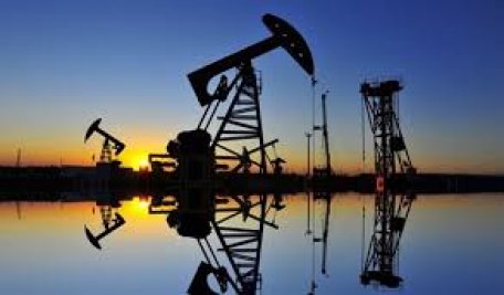 OPEC estimează o creștere a cotei de piață a Statelor Unite în detrimentul producției proprii de petrol OPEC estimează o creștere a cotei de piață a Statelor Unite în detrimentul producției proprii de petrol