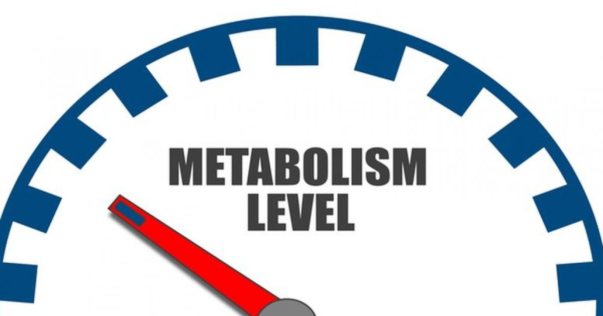 cum să crească metabolismul pentru pierderea în greutate