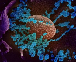 CORONAVIRUS: China anunţă 71 de noi decese, un bilanţ în scădere CORONAVIRUS: China anunţă 71 de noi decese, un bilanţ în scădere