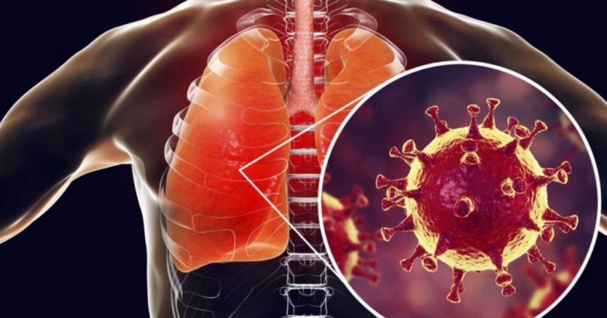 va face fluoxetina să mi pierd greutatea pierderea în greutate tta