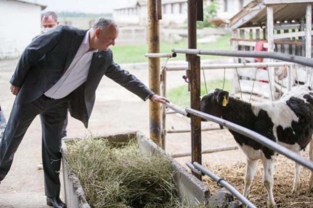 Anatol Șalaru: Politica externă echilibrată și vițelul la poarta nouă Anatol Șalaru: Politica externă echilibrată și vițelul la poarta nouă
