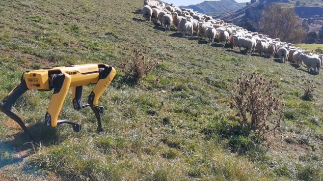 VIDEO / Câine-robot paznic la OI. Cățelul din metal poate fi folosit de agricultori să monitorizeze recoltele VIDEO / Câine-robot paznic la OI. Cățelul din metal poate fi folosit de agricultori să monitorizeze recoltele