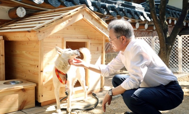 Preşedintele sud-coreean intenţionează să interzică consumul cărnii de câine şi pisică